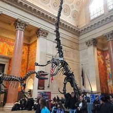 エントランスです。チケット購入前でも見れます(笑)