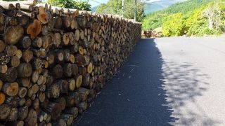 ミュージアムとショップとカフェを合わせた空間の総称のようです。