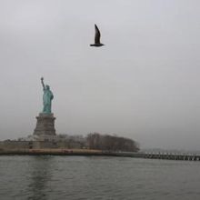 周りが霧で何も見えない…