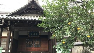 千代の富士の銅像が見守る