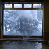 枝に積もった雪に風情があります