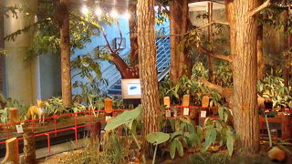 ココもお見逃しなく。