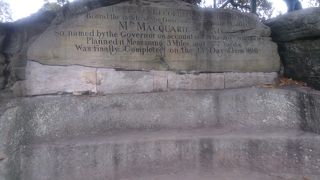 木陰にひっそりと。