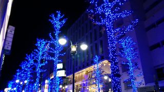 幻想的なイルミネーション