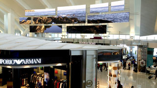 ハリウッド関連の商品や展示があります。