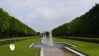 広々とした開放的な公園