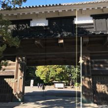 ここから登ります