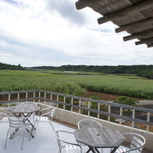 テラスからの眺めが最高!