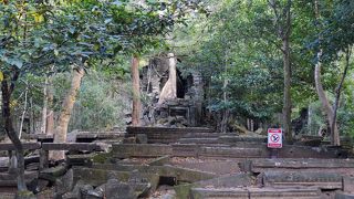 夕方が空いていたのでオススメ