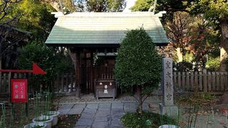 伊勢神宮の内宮さま