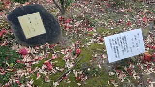 亡くなる少し前に詠んだ句