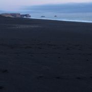 奇岩のそびえる黒いビーチ