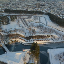 五稜郭の眺め