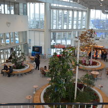 広々とした一階の様子