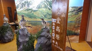 標高２４５０メートルの売店