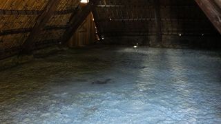 無料で見学できます。