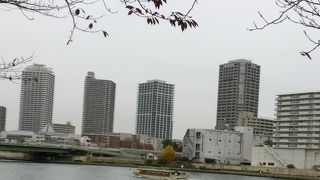 橋の上から隅田川を眺める