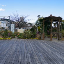 ウッドデッキがありました