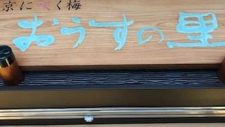 梅干しがいっぱいありました