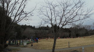 売店もフードコートも混雑（エクスポート足柄上り線）