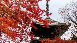 広くて見どころいろいろな三井寺