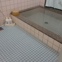 温泉ではにみたい