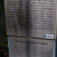 山里丸の説明