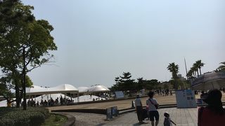 1日中遊び倒す