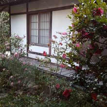 渡り廊下からの景色