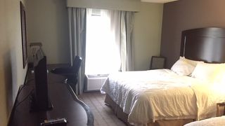 ハンプトン イン&スイーツ デトロイト カントン