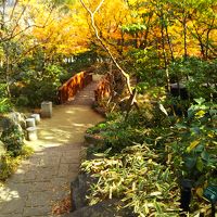 立派な日本庭園