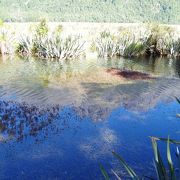 湖面が鏡のように写る