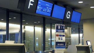 マイナーな国内線