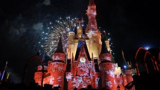 ディズニーワールドWDW ☆クリスマス☆