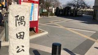 墨田川沿いの公園