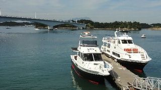 イルカを確実に間近で見られますが･･･