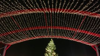 とにかく混んでる