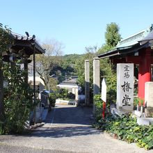 邦治山 椿堂 常福寺