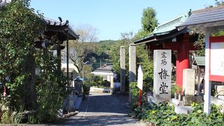 邦治山 椿堂 常福寺