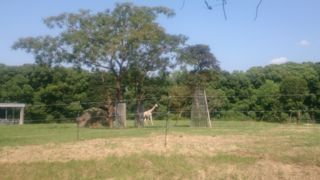 広いので1日楽しめます