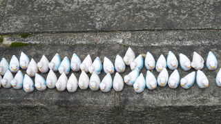 新旧・聖俗が混在する不思議な雰囲気の境内