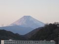 伊豆長岡　桂川　彩峰 写真