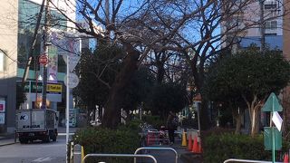 自由が丘駅の南口の遊歩道