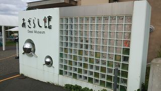 もぐもぐタイムは平日でも混んでいます