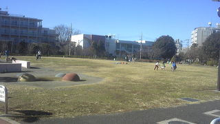 お正月の東山公園