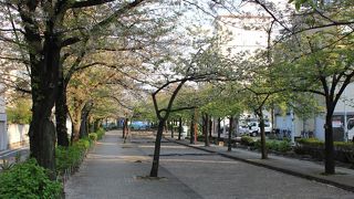 スカイツリーも見える静かな公園