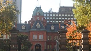 赤レンガ庁舎には紅葉も似合いますね～