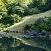 大きな特徴は背景の傾斜地形