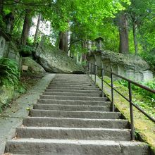 長い階段を登ります