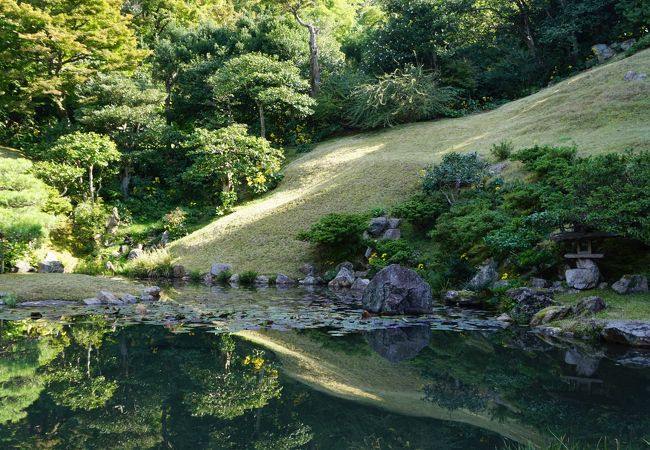 大きな特徴は背景の傾斜地形